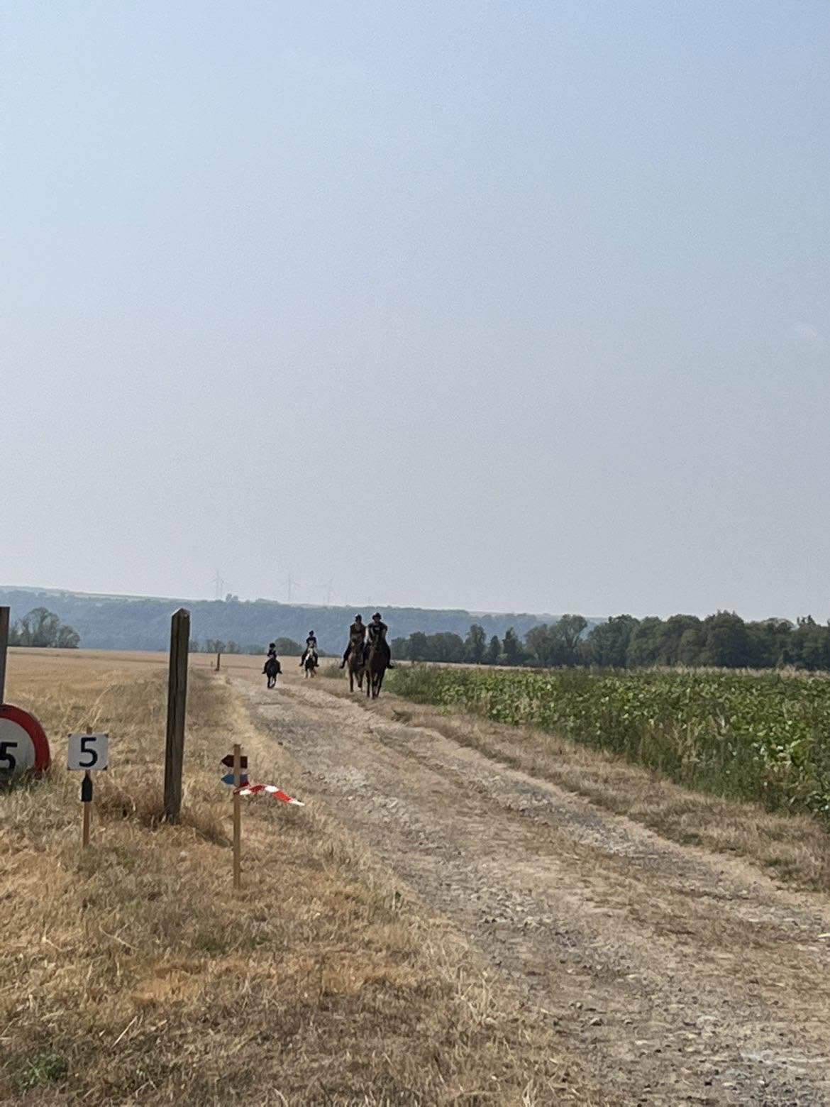 Centre équestre de Parpeville : box et paddocks, pension pour chevaux à PARPEVILLE - Photo 2 sur 2