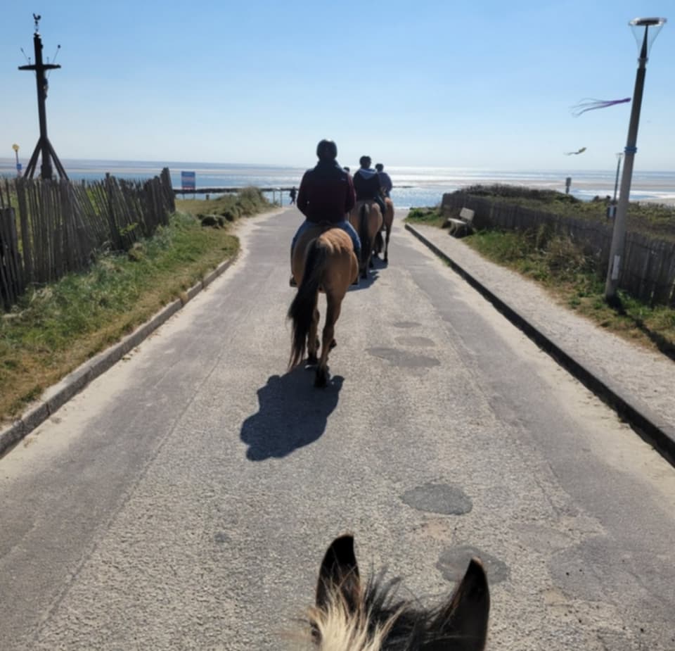 Espace Équestre Henson - La Molière de Berck: stalls and paddocks, horse boarding in Berck-sur-Mer - Photo 10 of 12