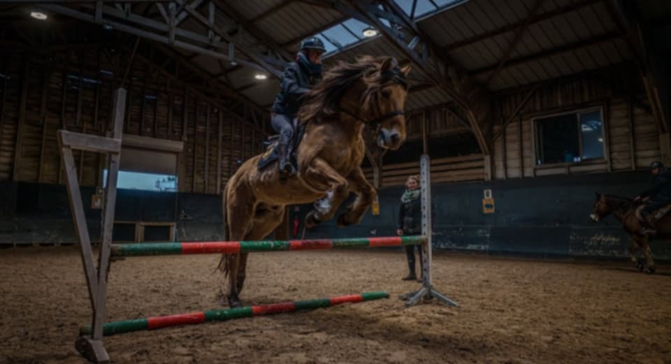 Espace Équestre Henson - La Molière de Berck: stalls and paddocks, horse boarding in Berck-sur-Mer - Photo 9 of 12