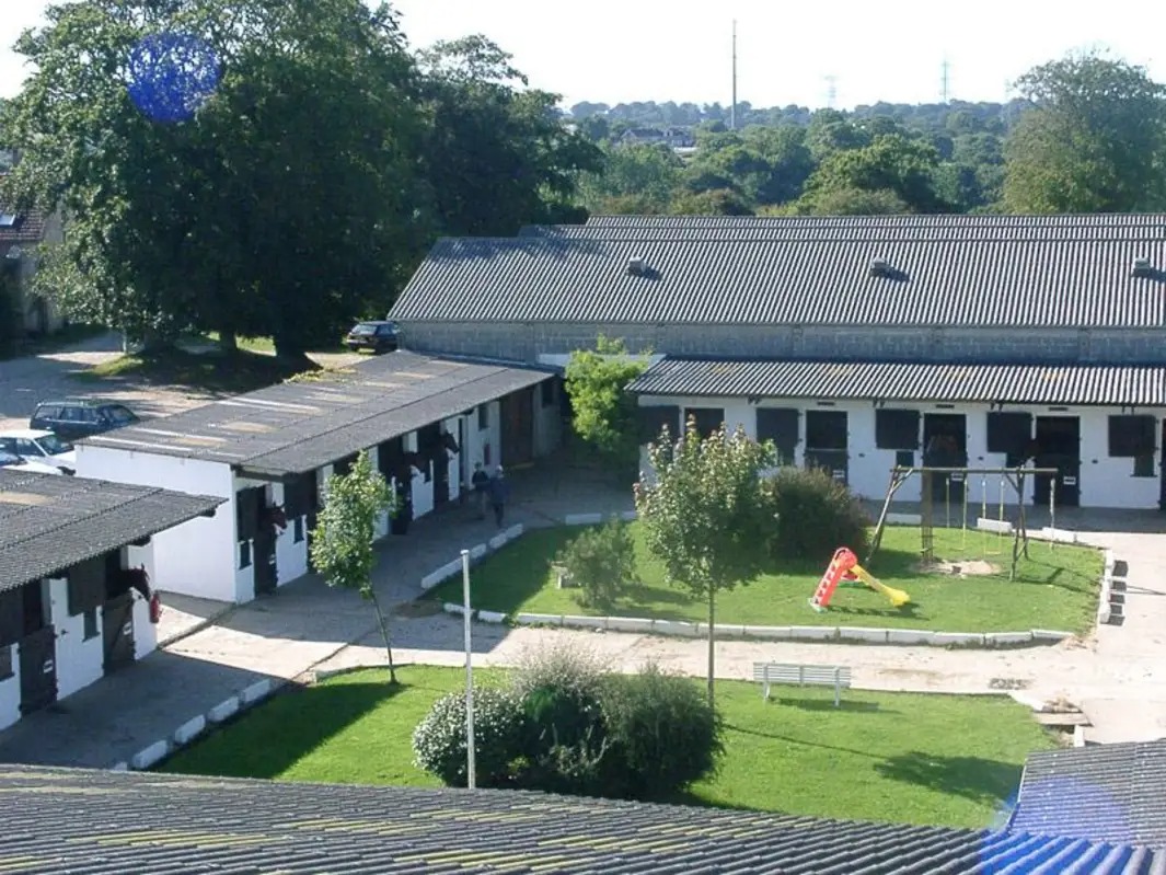Haras de Siva: box e paddock, pensione per cavalli a Tollevast - Foto 9 di 12