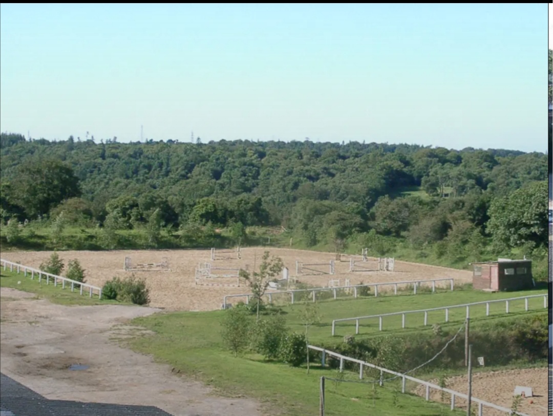 Haras de Siva: box e paddock, pensione per cavalli a Tollevast - Foto 11 di 12