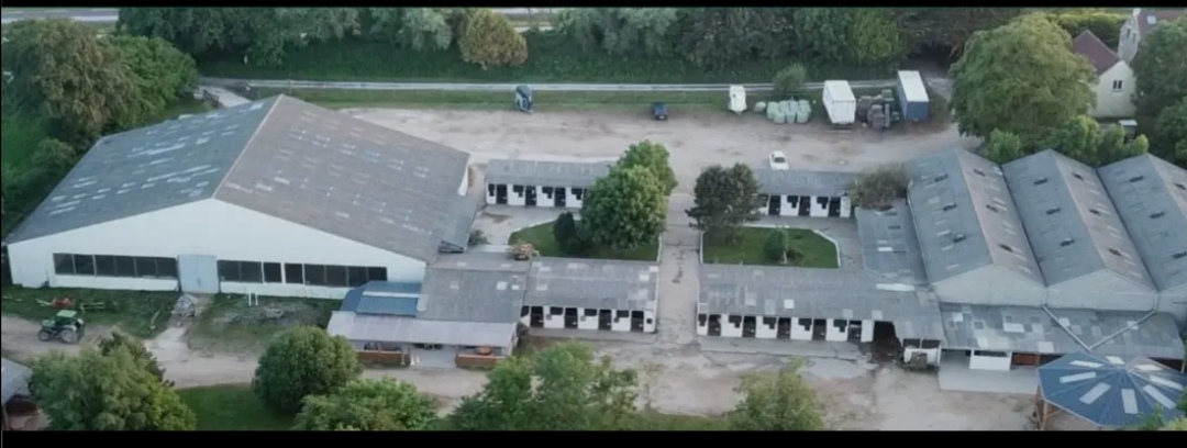Haras de Siva: box e paddock, pensione per cavalli a Tollevast - Foto 10 di 12