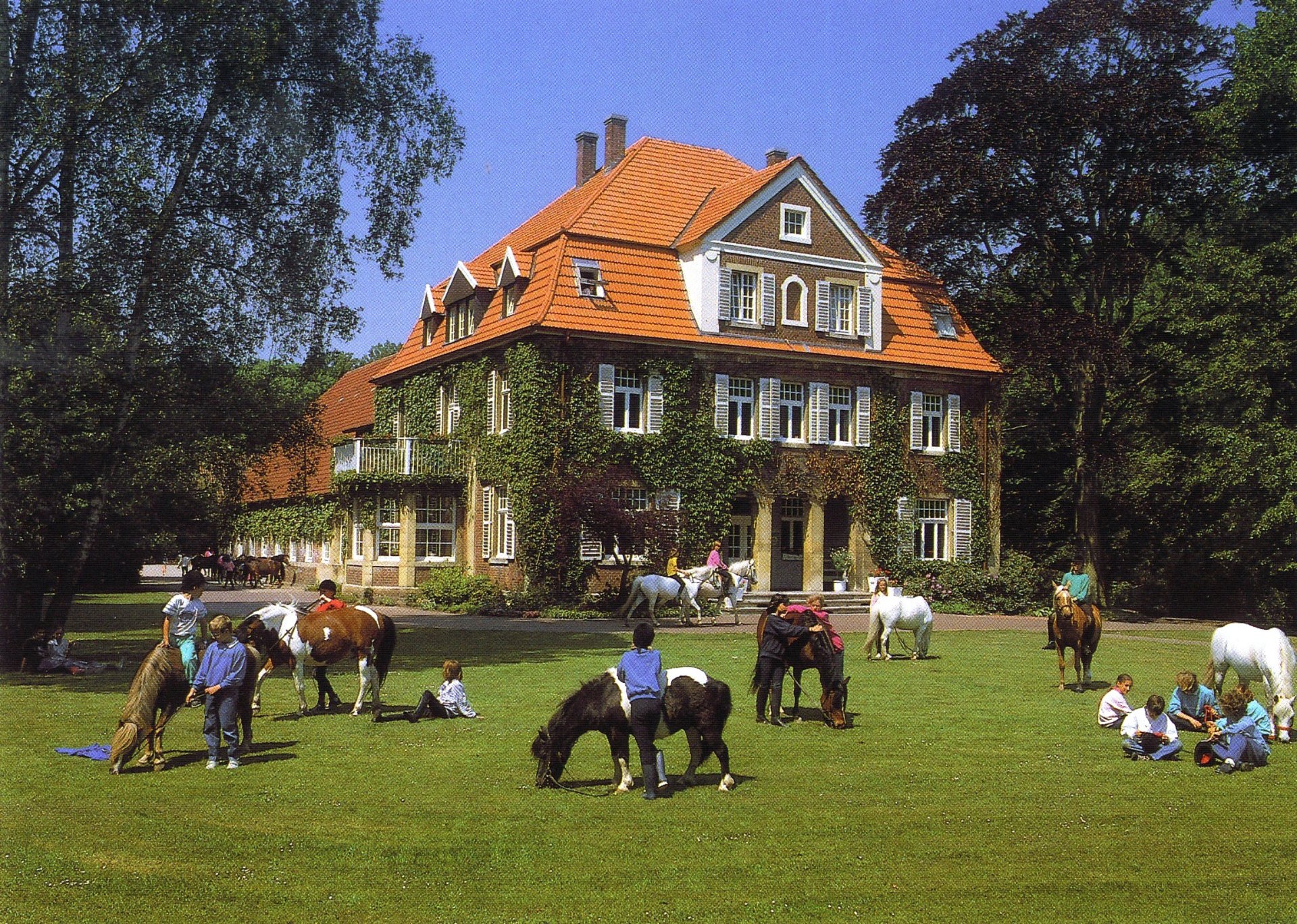 Ponyhof Schleithoff: boxes y paddocks, pensión para caballos en Havixbeck - Foto 7 de 7