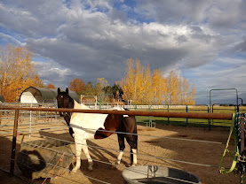 Laughing Horse Boarding & Horse Motel : box et paddocks, pension pour chevaux à Meridian - Photo 7 sur 10