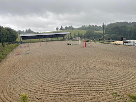 Les Écuries du Renan : box et paddocks, pension pour chevaux à Saint-Sornin-Lavolps - Photo 7 sur 8