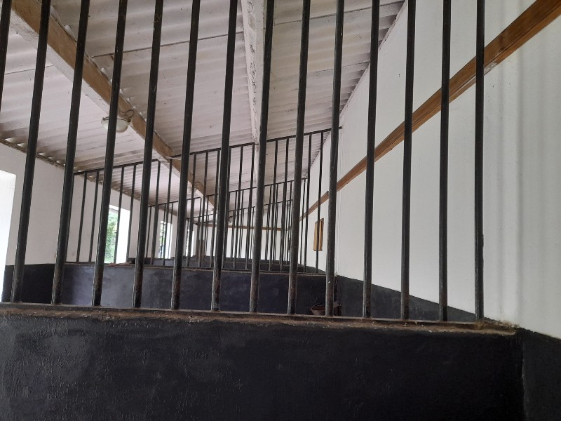 Le Volcelest : box et paddocks, pension pour chevaux à Belin-Béliet - Photo 11 sur 12