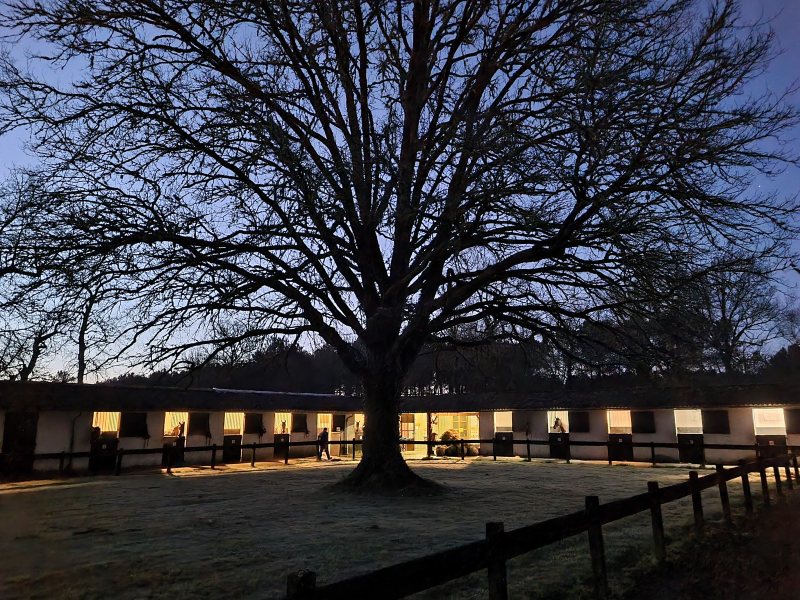 Le Volcelest : box et paddocks, pension pour chevaux à Belin-Béliet - Photo 8 sur 12