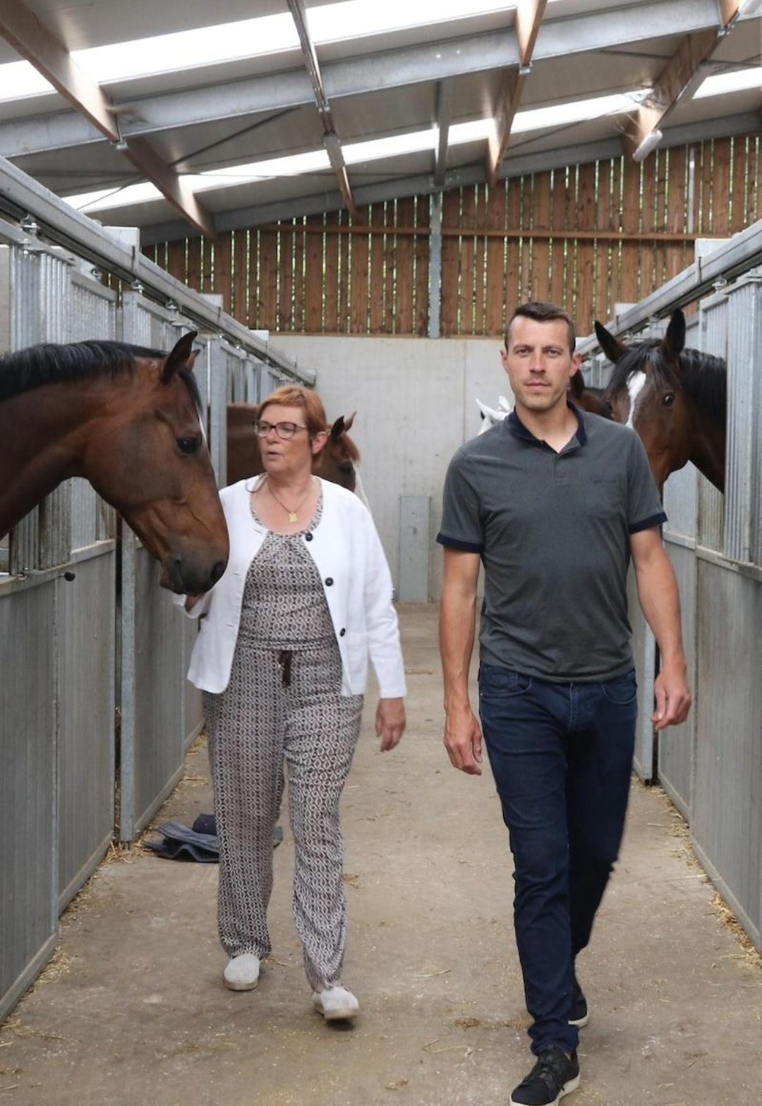 Ruiterschool Rodeberg : box et paddocks, pension pour chevaux à Westouter - Photo 1 sur 2