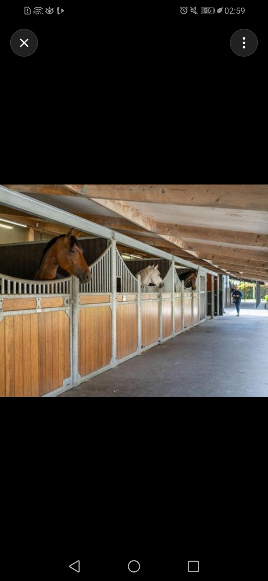 Paardenhotel Ekenrode : box et paddocks, pension pour chevaux à Waalre - Photo 1 sur 2
