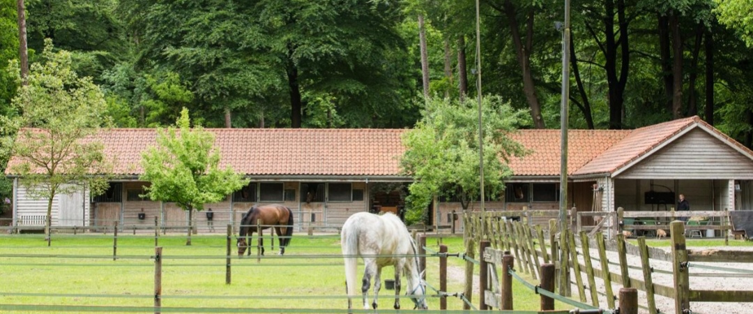 Paardenhotel Ekenrode : box et paddocks, pension pour chevaux à Waalre - Photo 2 sur 2