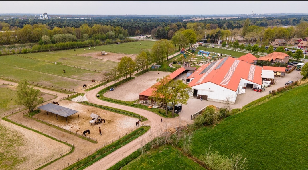 Stal Catharina-Hoeve : box et paddocks, pension pour chevaux à Deurne - Photo 2 sur 2