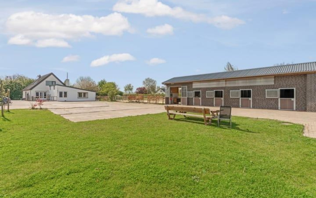 Stal Catharina-Hoeve : box et paddocks, pension pour chevaux à Deurne - Photo 1 sur 2