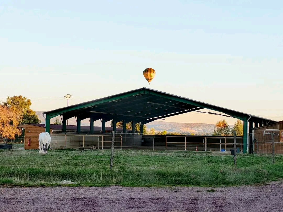 Les Écuries de Messey : box et paddocks, pension pour chevaux à Messey-sur-Grosne - Photo 4 sur 5