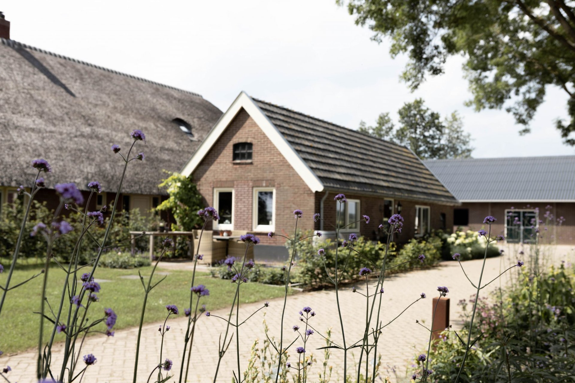 Landleven Luttenberg : box et paddocks, pension pour chevaux à Luttenberg - Photo 2 sur 2
