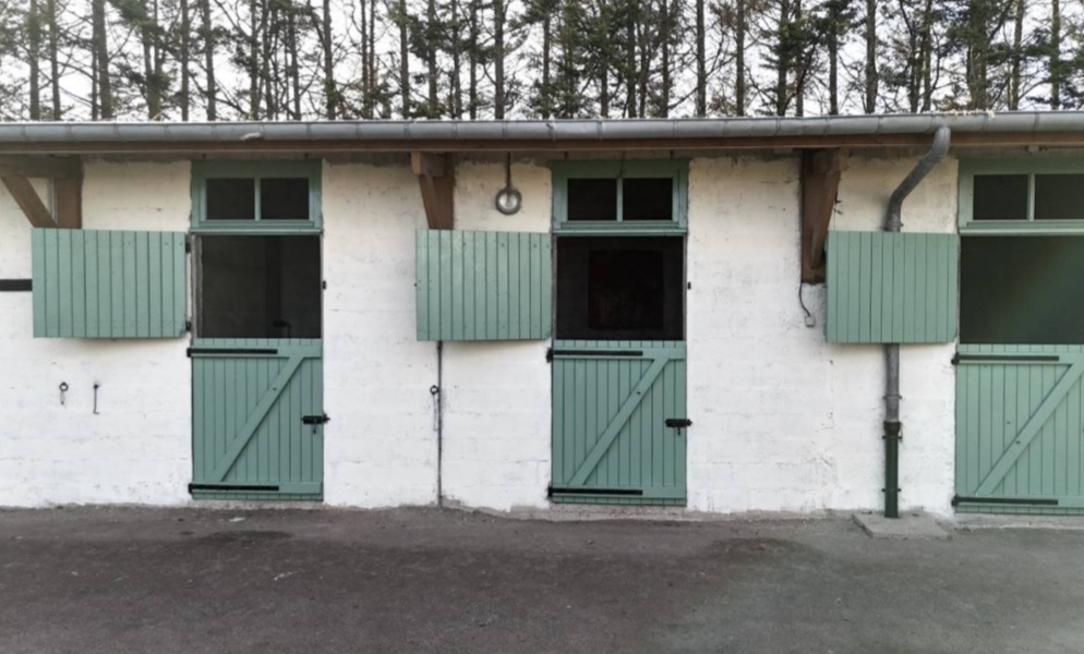 Domaine des Cyprès : box et paddocks, pension pour chevaux à Saint-Sauveur-Villages - Photo 4 sur 4