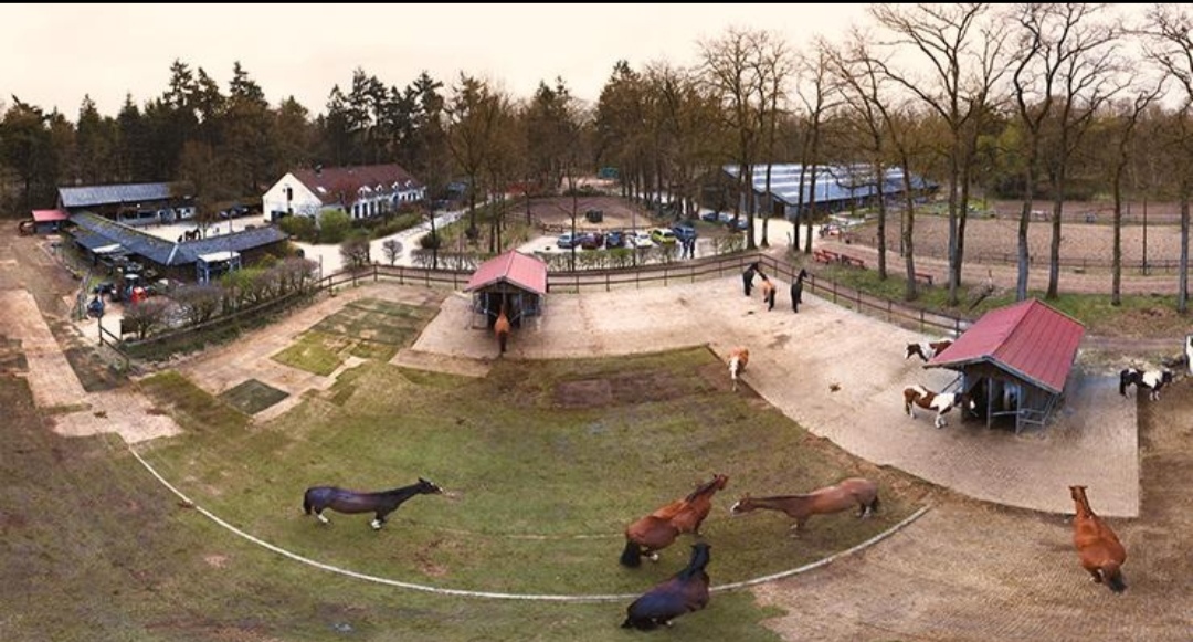 De Avonturentuin | EQOSYSTEMS : box et paddocks, pension pour chevaux à Overloon - Photo 2 sur 2