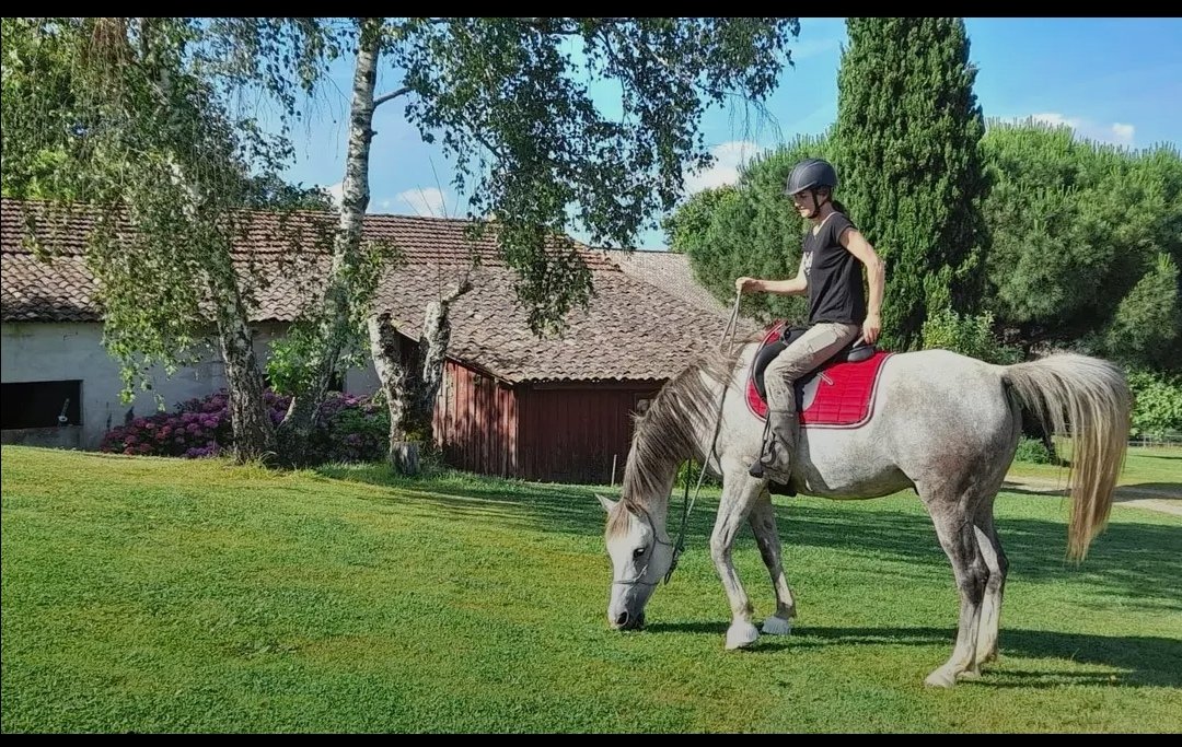 Les Écuries de Rayne : box et paddocks, pension pour chevaux à Sigalens - Photo 3 sur 3