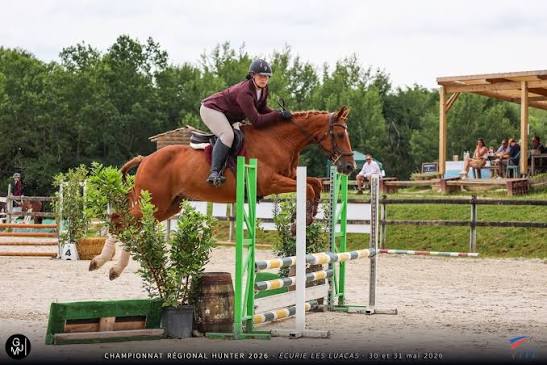 Les Écuries de l?Arriou : box et paddocks, pension pour chevaux à Bats - Photo 3 sur 3