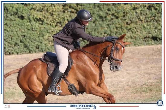 Les Écuries de l?Arriou : box et paddocks, pension pour chevaux à Bats - Photo 2 sur 3