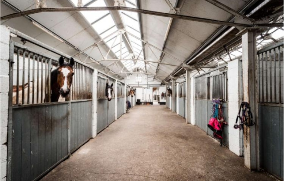 Paardenhotel - Van der Valk Hotel Groningen - Zuidbroek A7 : box et paddocks, pension pour chevaux à Zuidbroek - Photo 2 sur 2