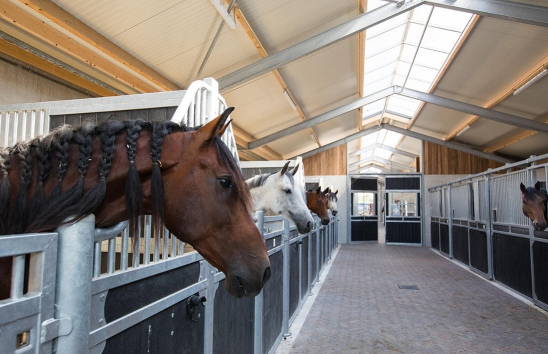 Paardenhotel - Van der Valk Hotel Groningen - Zuidbroek A7 : box et paddocks, pension pour chevaux à Zuidbroek - Photo 1 sur 2