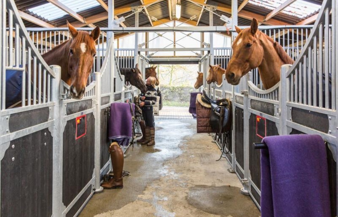 Paardenhotel Putten : box et paddocks, pension pour chevaux à Putten - Photo 1 sur 2