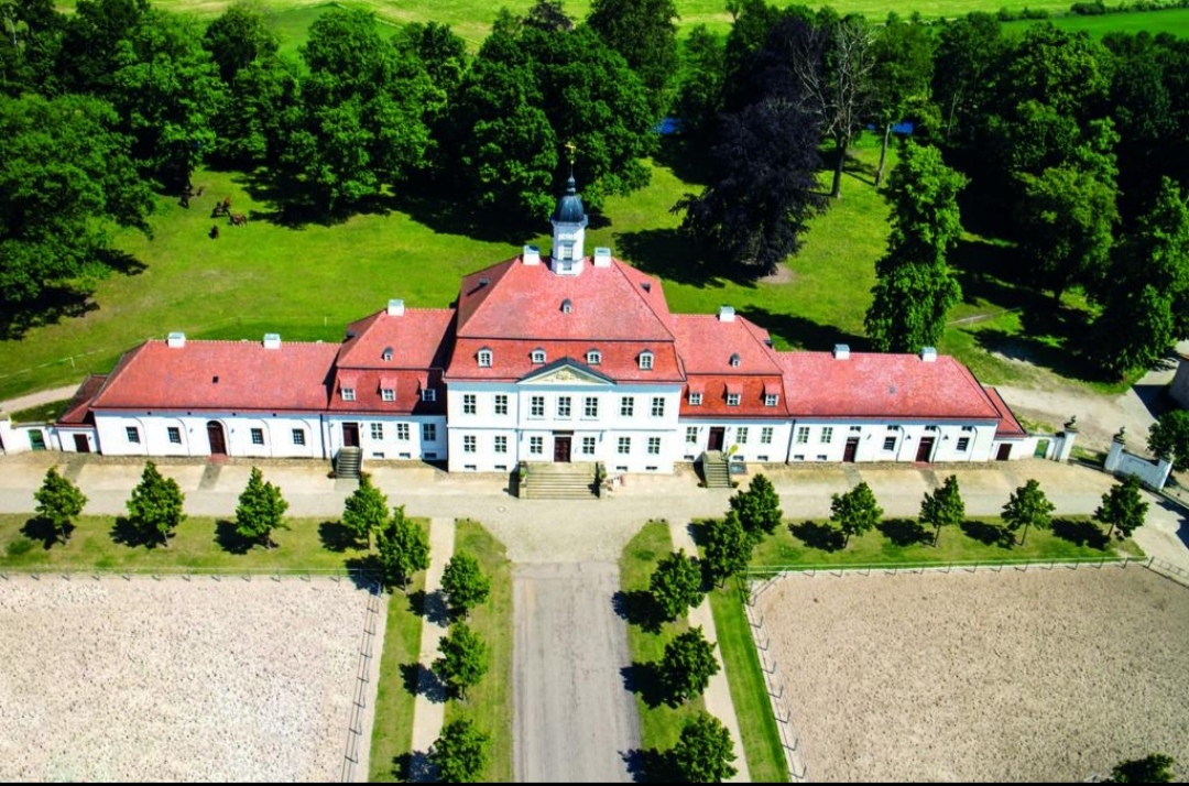 Neustädter Gestüte : box et paddocks, pension pour chevaux à Neustadt (Dosse) - Photo 2 sur 2