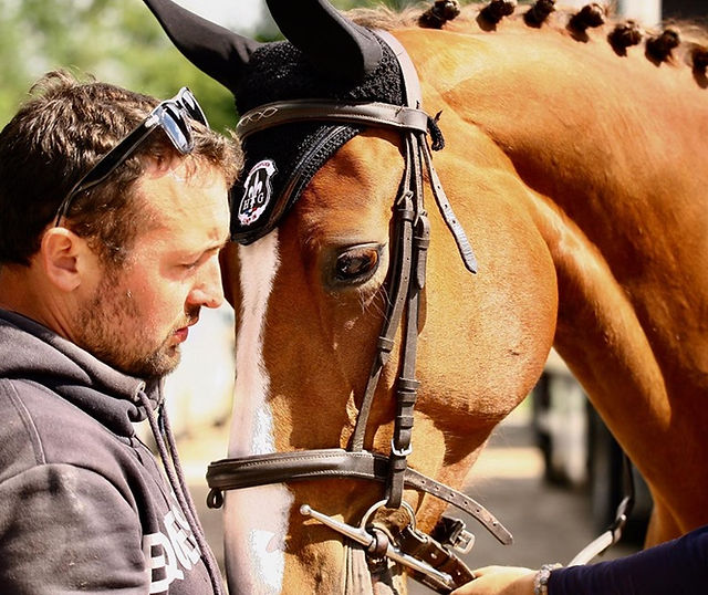 Écurie Equi'Libre : box et paddocks, pension pour chevaux à Breux-sur-Avre - Photo 6 sur 6