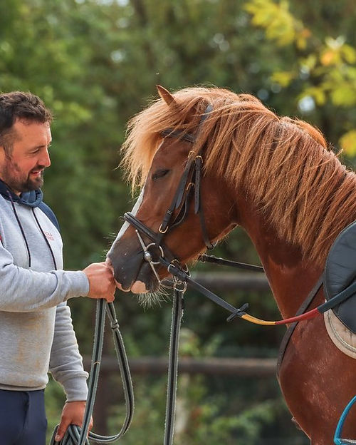 Écurie Equi'Libre : box et paddocks, pension pour chevaux à Breux-sur-Avre - Photo 2 sur 6