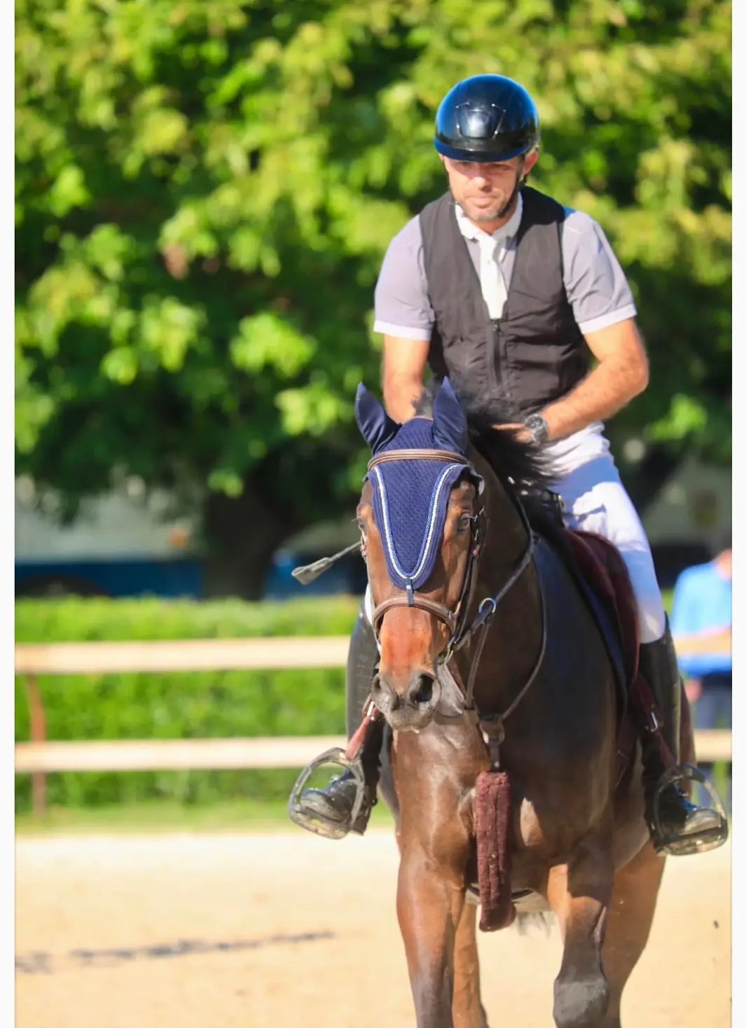 Les Écuries de la Bruguière : box et paddocks, pension pour chevaux à La Bruguière - Photo 1 sur 4