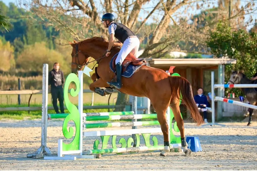 Les Écuries de la Bruguière : box et paddocks, pension pour chevaux à La Bruguière - Photo 2 sur 4