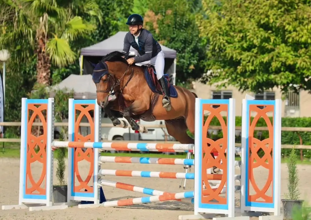 Les Écuries de la Bruguière : box et paddocks, pension pour chevaux à La Bruguière - Photo 3 sur 4