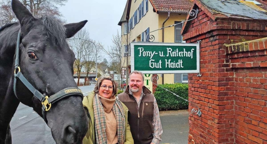 Reiterhof Gut Haidt : box et paddocks, pension pour chevaux à Hof - Photo 2 sur 2