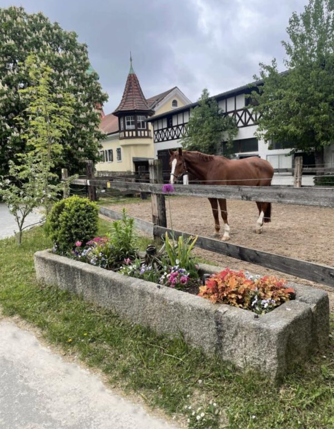 Reiterhof Gut Haidt : box et paddocks, pension pour chevaux à Hof - Photo 1 sur 2