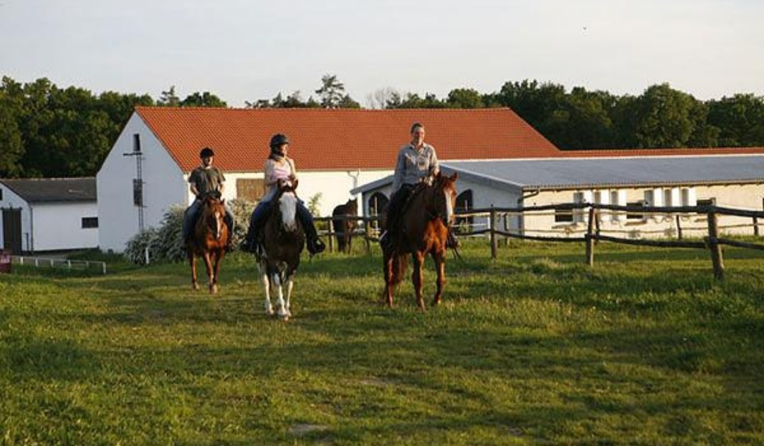 Hof Behrens – Merkendorf : box et paddocks, pension pour chevaux à Merkendorf - Photo 2 sur 2