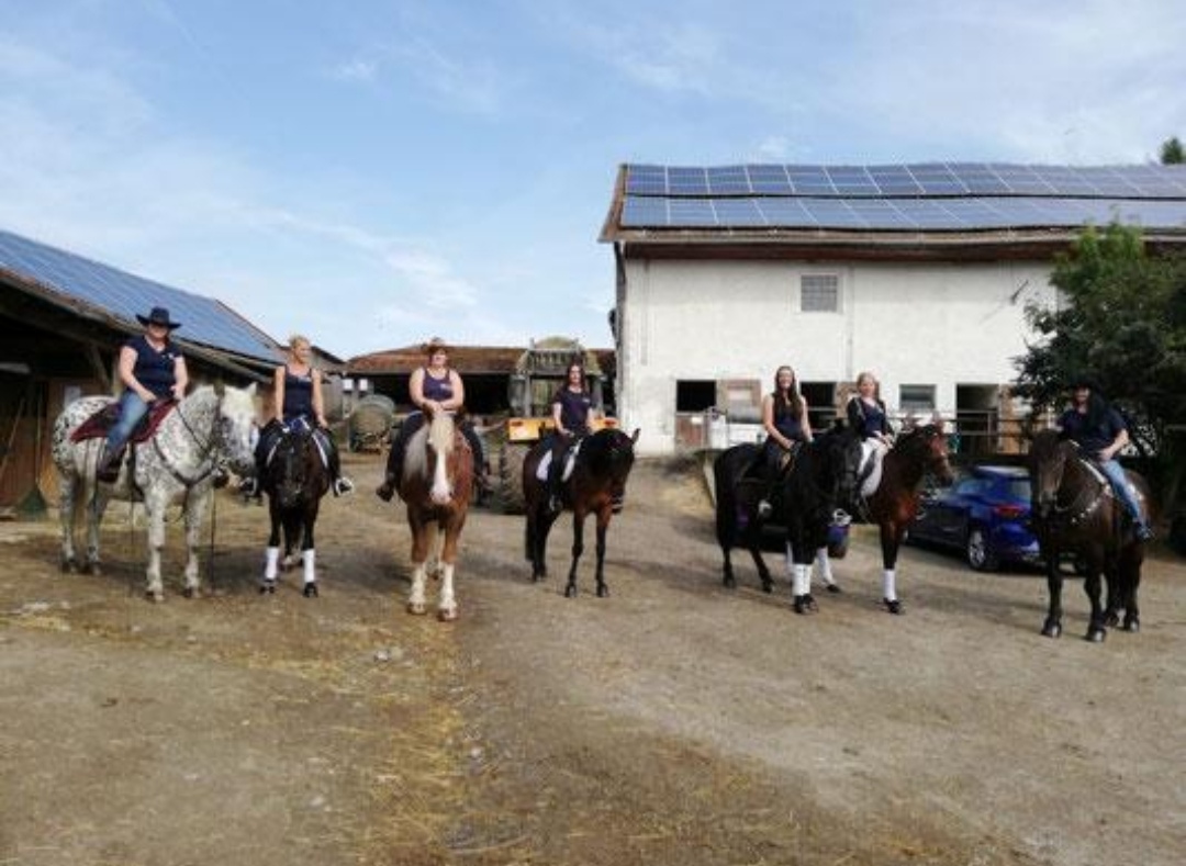 Reiterhof Goesingen : box et paddocks, pension pour chevaux à Friesenhagen - Photo 1 sur 2