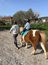 Écurie Hérod : box et paddocks, pension pour chevaux à Saint-Maime - Photo 1 sur 8