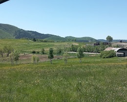 Écurie Hérod : box et paddocks, pension pour chevaux à Saint-Maime - Photo 8 sur 8