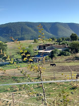 Écurie Hérod : box et paddocks, pension pour chevaux à Saint-Maime - Photo 6 sur 8