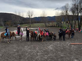 Écurie Hérod : box et paddocks, pension pour chevaux à Saint-Maime - Photo 4 sur 8