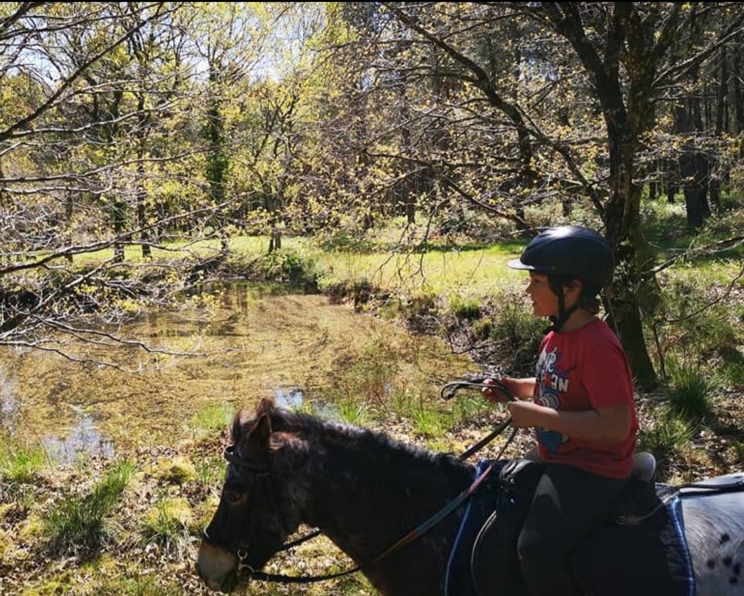 Lacanau Equi-Passion : box et paddocks, pension pour chevaux à Lacanau - Photo 1 sur 3