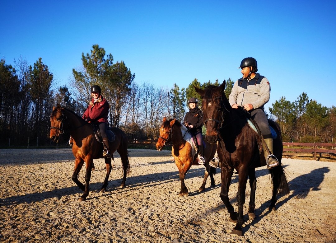 Lacanau Equi-Passion : box et paddocks, pension pour chevaux à Lacanau - Photo 2 sur 3