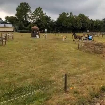 Richter Pferdesport : box et paddocks, pension pour chevaux à Babenhausen - Photo 2 sur 2