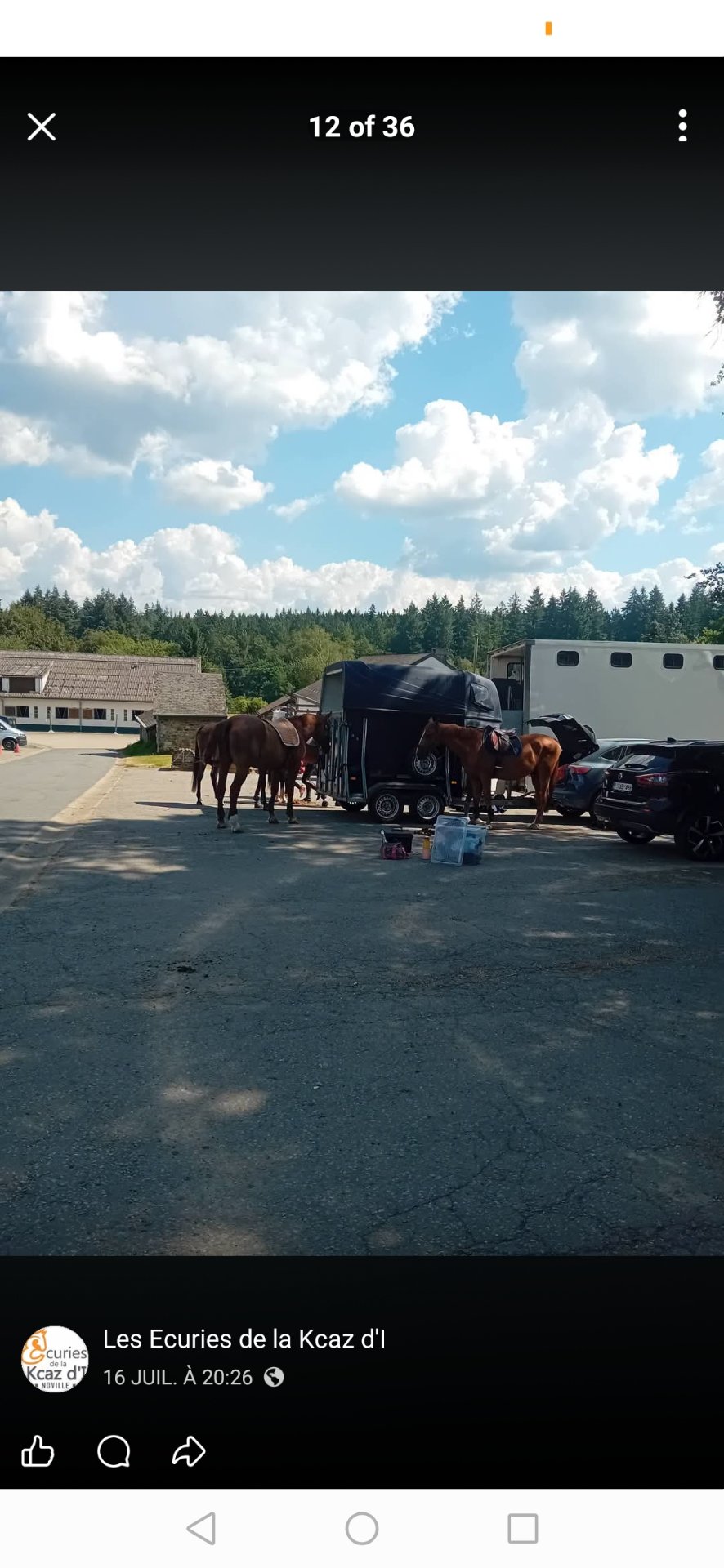 Les Écuries de la Kcaz d'I : box et paddocks, pension pour chevaux à Bastogne - Photo 2 sur 3