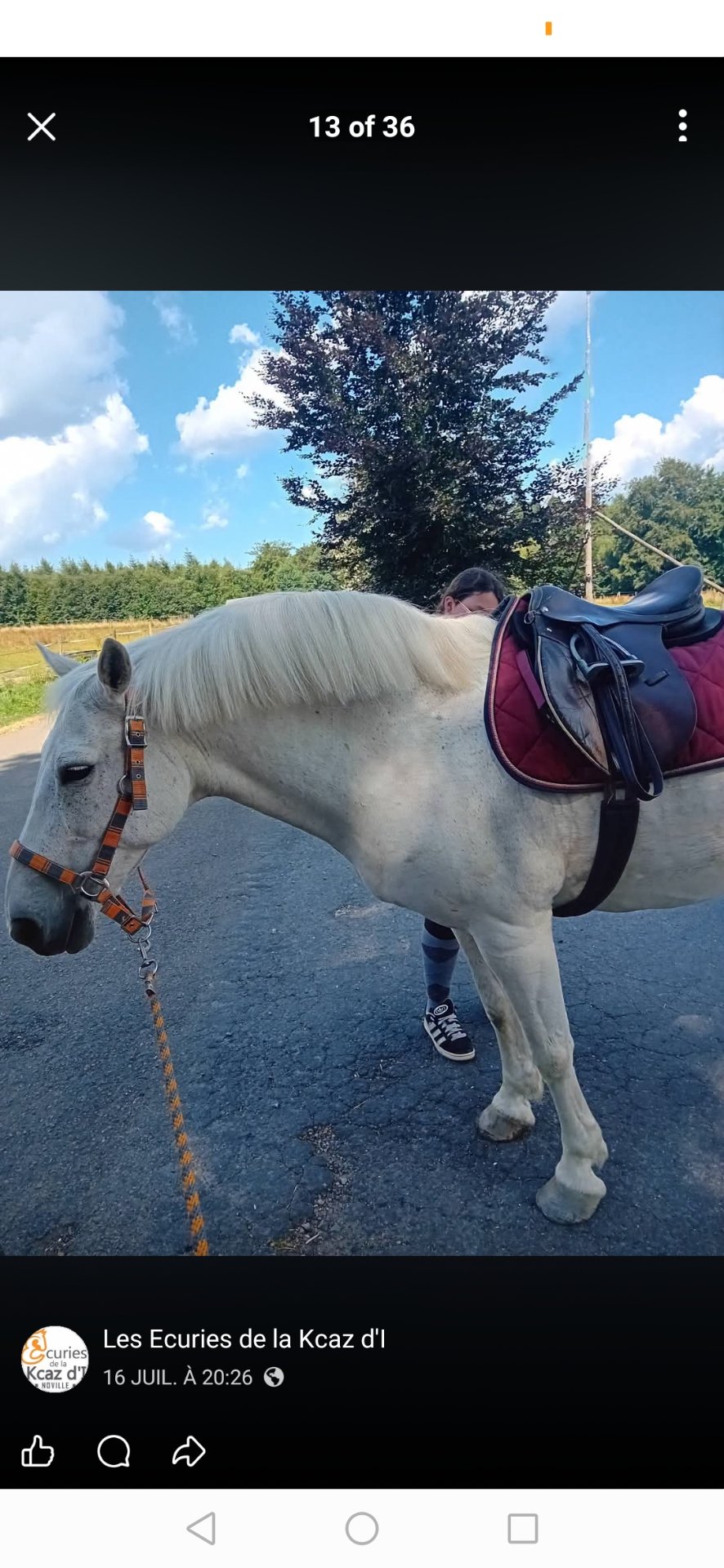 Les Écuries de la Kcaz d'I : box et paddocks, pension pour chevaux à Bastogne - Photo 3 sur 3