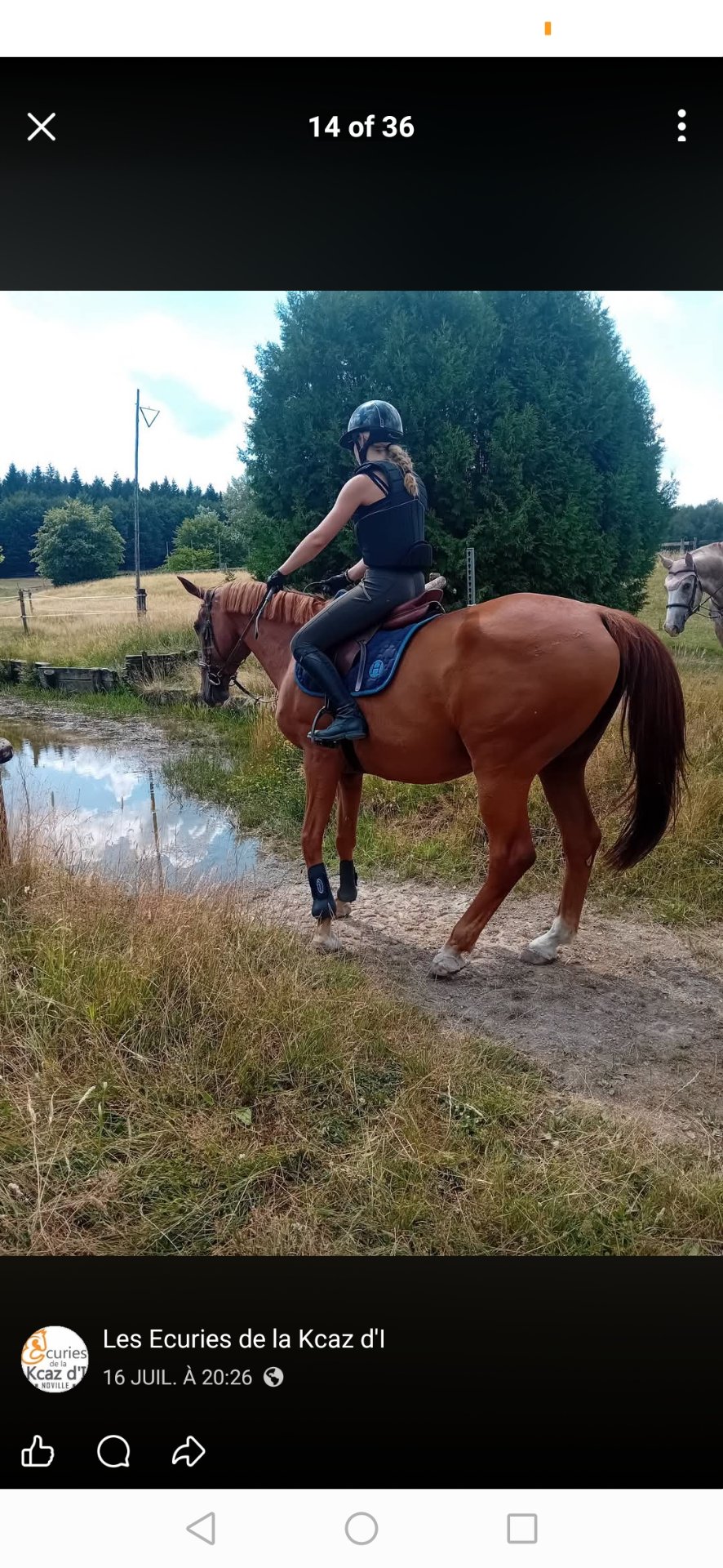 Les Écuries de la Kcaz d'I : box et paddocks, pension pour chevaux à Bastogne - Photo 1 sur 3