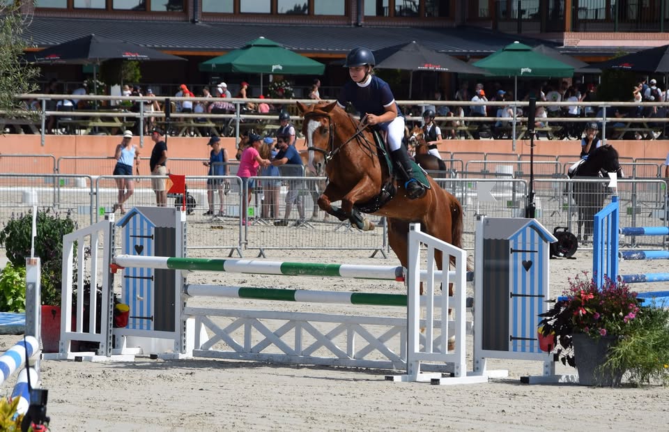Centre Équestre d'Aubarède : box et paddocks, pension pour chevaux à Aubarède - Photo 1 sur 2