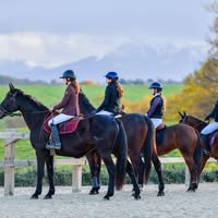Centre Équestre d'Aubarède : box et paddocks, pension pour chevaux à Aubarède - Photo 2 sur 2
