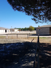 Poney Club de Carrelis: boxen en paddocks, paardenpension in Nohic - Foto 2 van 2