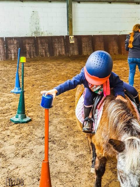 Poney Club de Buisseret ASBL: stalls and paddocks, horse boarding in Gouy-lez-Piéton - Photo 1 of 2